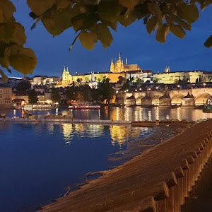 rsh188024 - תמונה