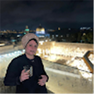 ורד - תמונה ורד - תמונה