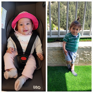 צופיה - תמונה