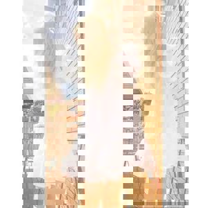 Rebecca - תמונה