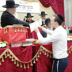 שמעון זאב - תמונה