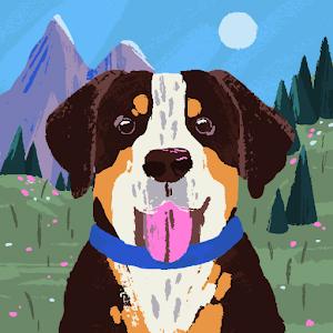 mynzw74 - תמונה