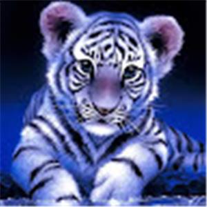 adi0534157605 - תמונה