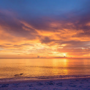 b0583210799 - תמונה