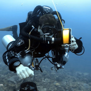 shtruzer - תמונה shtruzer - תמונה