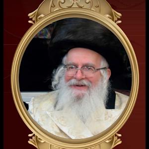 avinoham055 - תמונה avinoham055 - תמונה