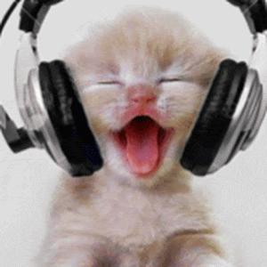 rachel25.5.2003 - תמונה