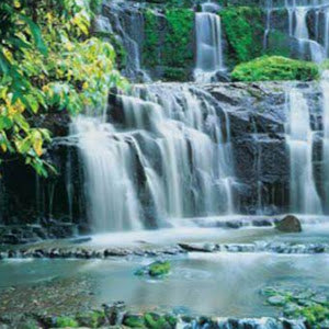 mirist66 - תמונה