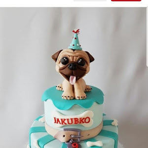 adirier2009 - תמונה