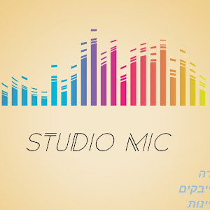 studio mic - תמונה