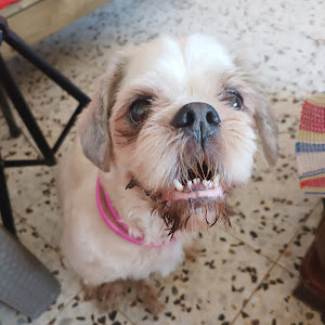 Baby Boaz - תמונה