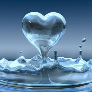 a06827100 - תמונה