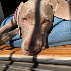 ilan.l.shemtov - תמונה