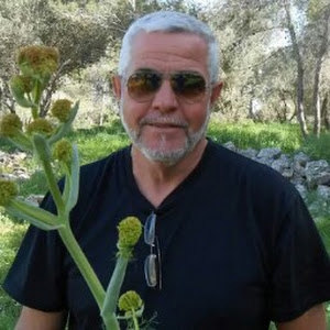 Arie - תמונה Arie - תמונה