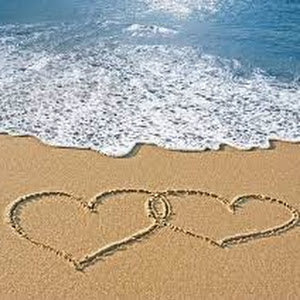 ara246625 - תמונה