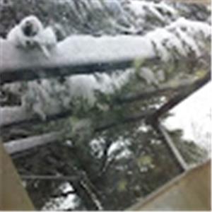 Reut - תמונה Reut - תמונה