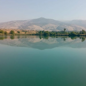 yair720000 - תמונה