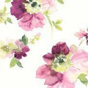 yaffod77 - תמונה