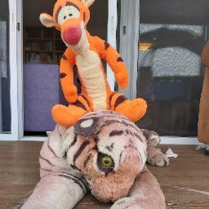 tamarmeri - תמונה