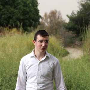 0504128565z - תמונה