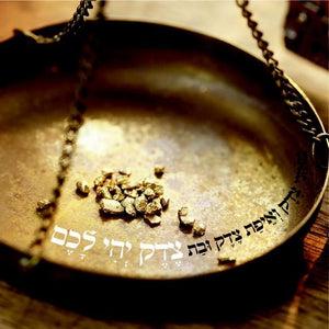 matan vela - תמונה