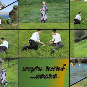 ציקי - תמונה ציקי - תמונה