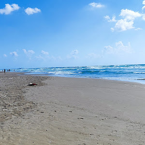 ofercohan - תמונה