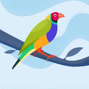 julahashem - תמונה