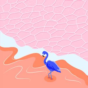 רבקי - תמונה