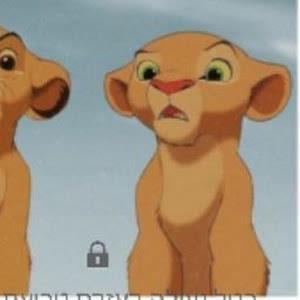 מלי - תמונה מלי - תמונה