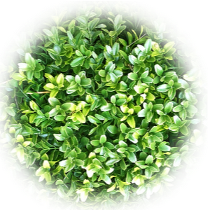 d4132898 - תמונה