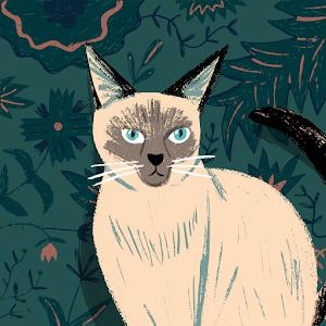 shalevs1375 - תמונה shalevs1375 - תמונה