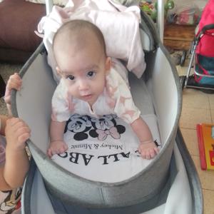 s0535571646 - תמונה