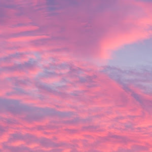 galelvs - תמונה