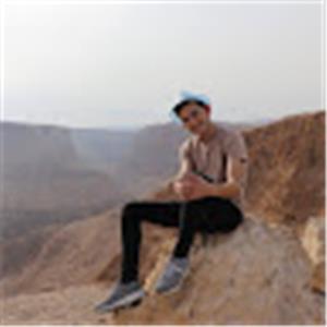 sh8547367 - תמונה