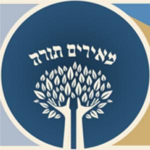 מאירים - תמונה מאירים - תמונה