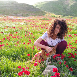 mbouskila - תמונה