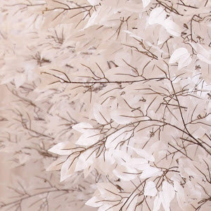 porush669 - תמונה