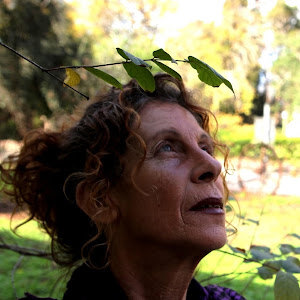 sadrinap1 - תמונה sadrinap1 - תמונה