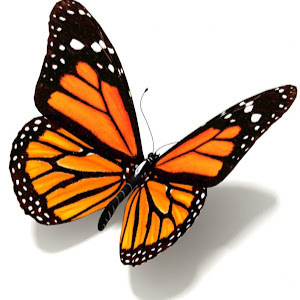 emmynik - תמונה