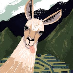 david.eini12 - תמונה david.eini12 - תמונה
