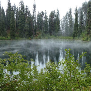 orelok008 - תמונה