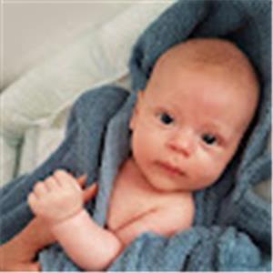 brahms.amos - תמונה