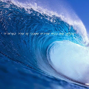 liel1336795 - תמונה liel1336795 - תמונה