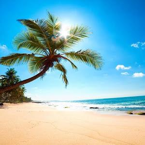 orbenuziel - תמונה orbenuziel - תמונה