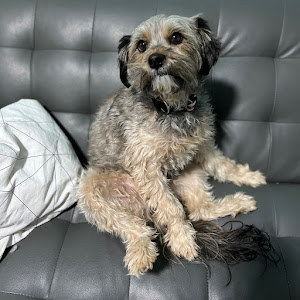 eliyamenahem987 - תמונה