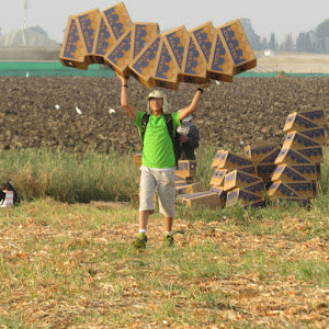 illylaslo2016 - תמונה