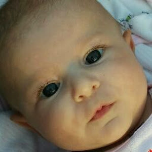 estisrael0 - תמונה