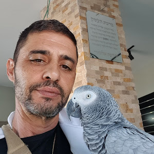 yigald111222 - תמונה