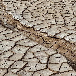 lotemascolot - תמונה